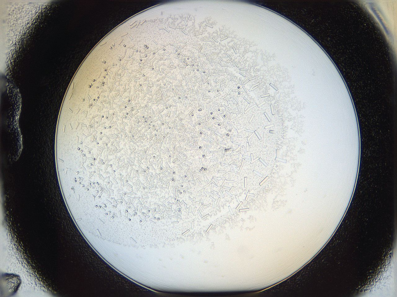 05y3_B7_ImagerDefaults_9.jpg