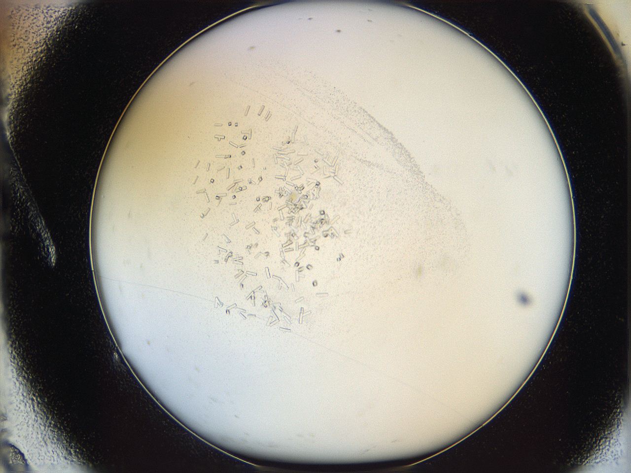 05y3_A9_ImagerDefaults_2.jpg