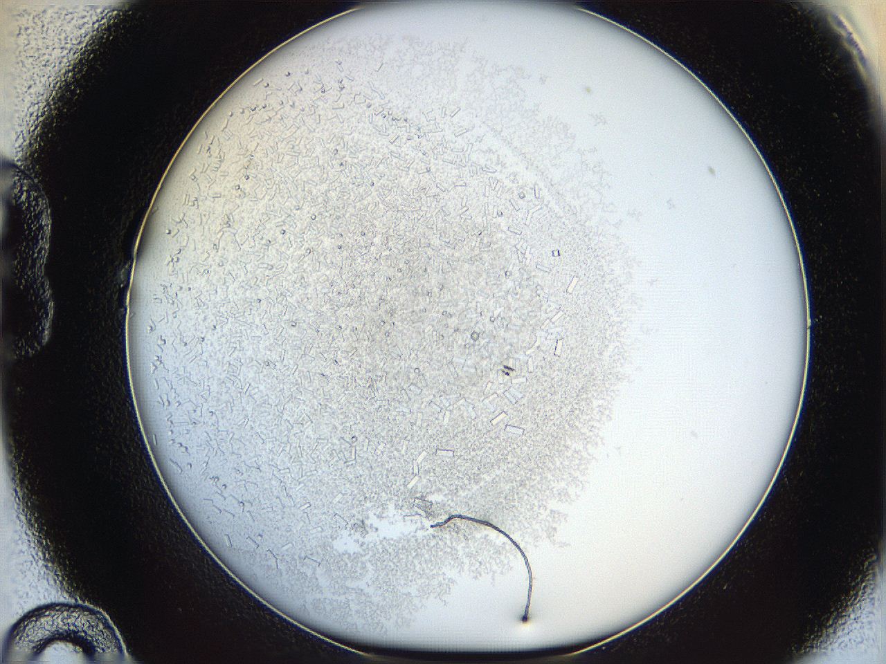 05y3_B10_ImagerDefaults_7.jpg