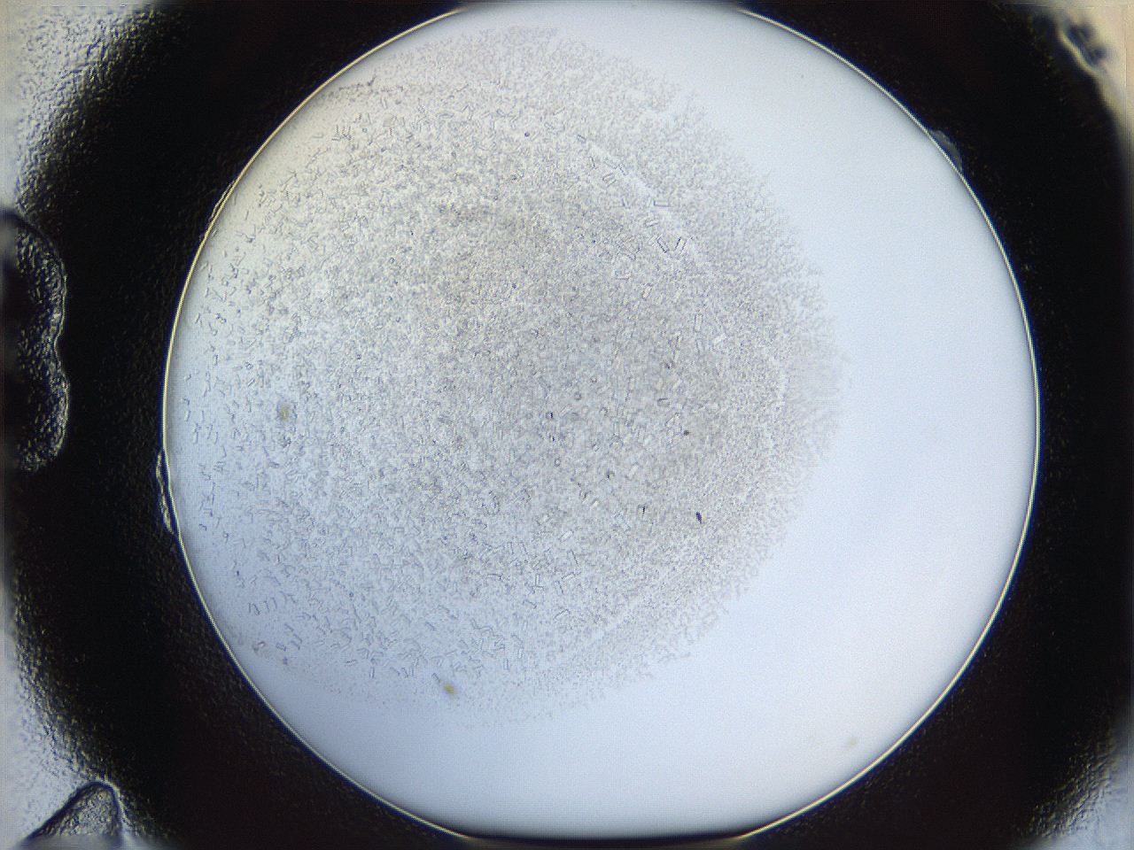 05y3_B11_ImagerDefaults_6.jpg