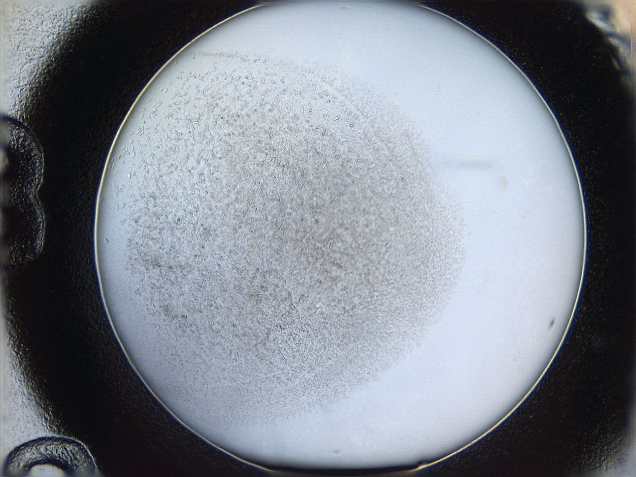 05y3_B12_ImagerDefaults_6.jpg
