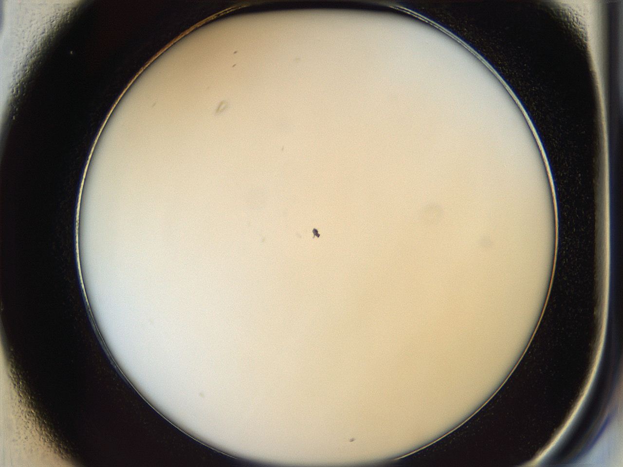 05y3_C1_ImagerDefaults_0.jpg