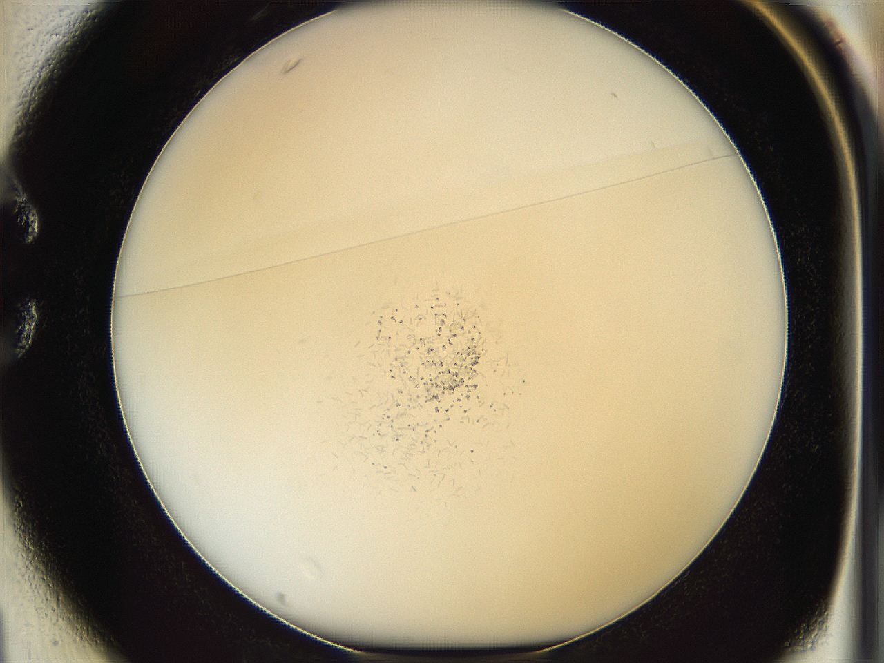 05y3_C1_ImagerDefaults_6.jpg