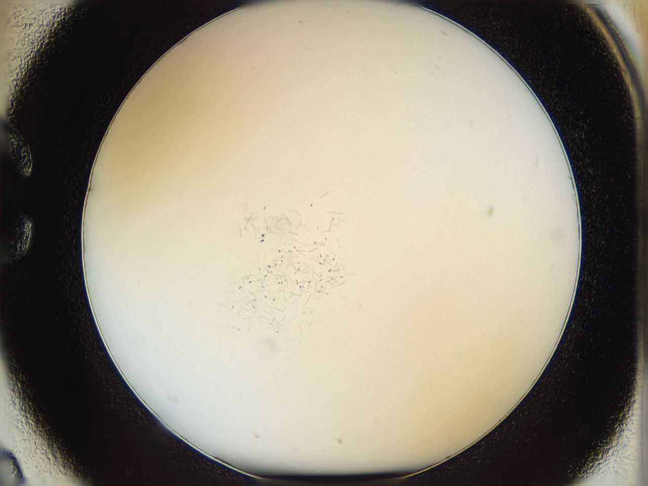 05y3_C2_ImagerDefaults_6.jpg