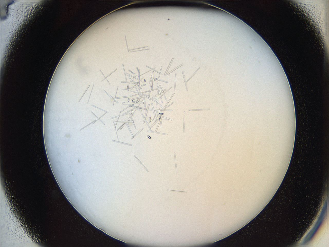 05y3_C4_ImagerDefaults_7.jpg