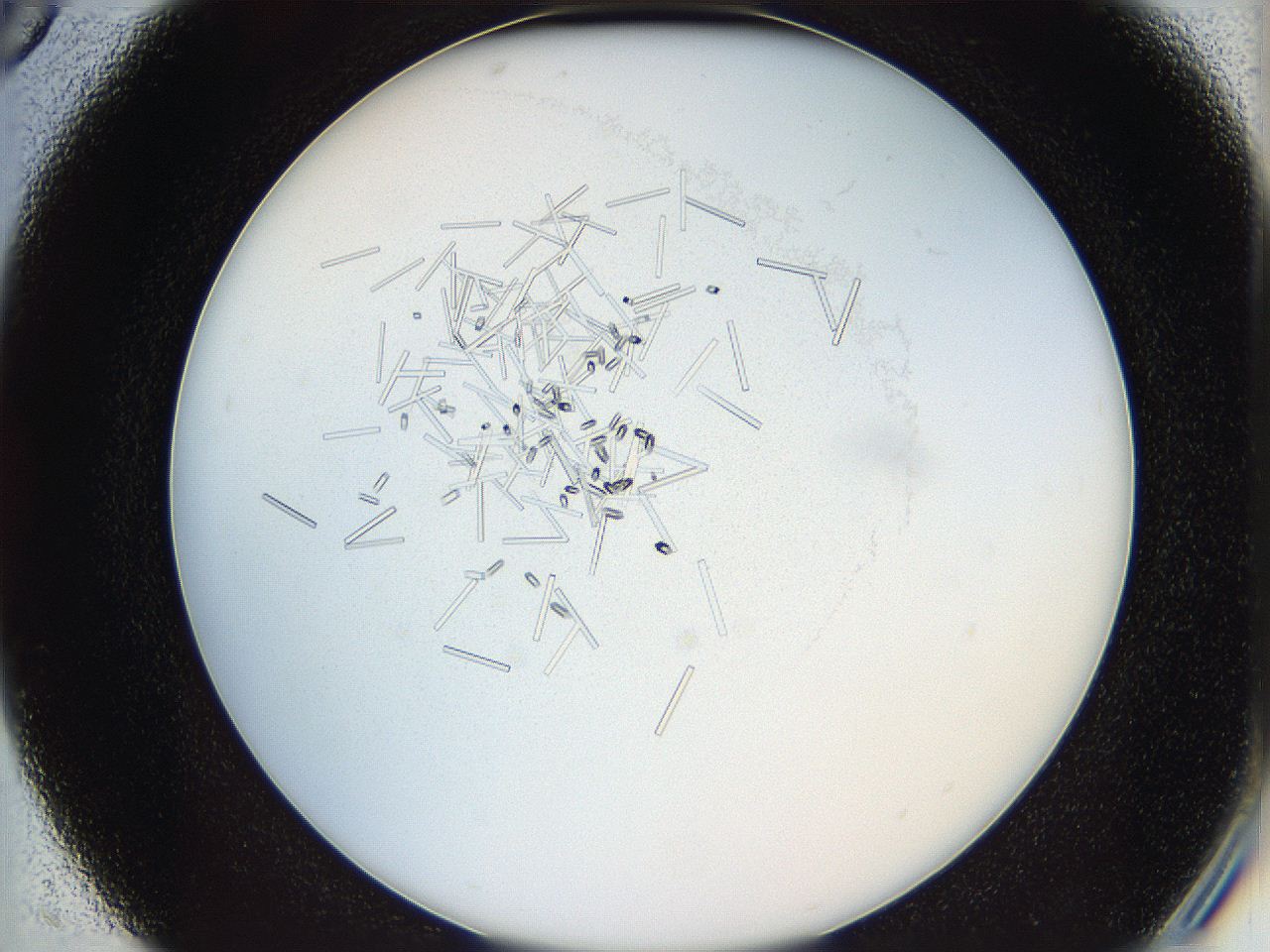05y3_C5_ImagerDefaults_7.jpg