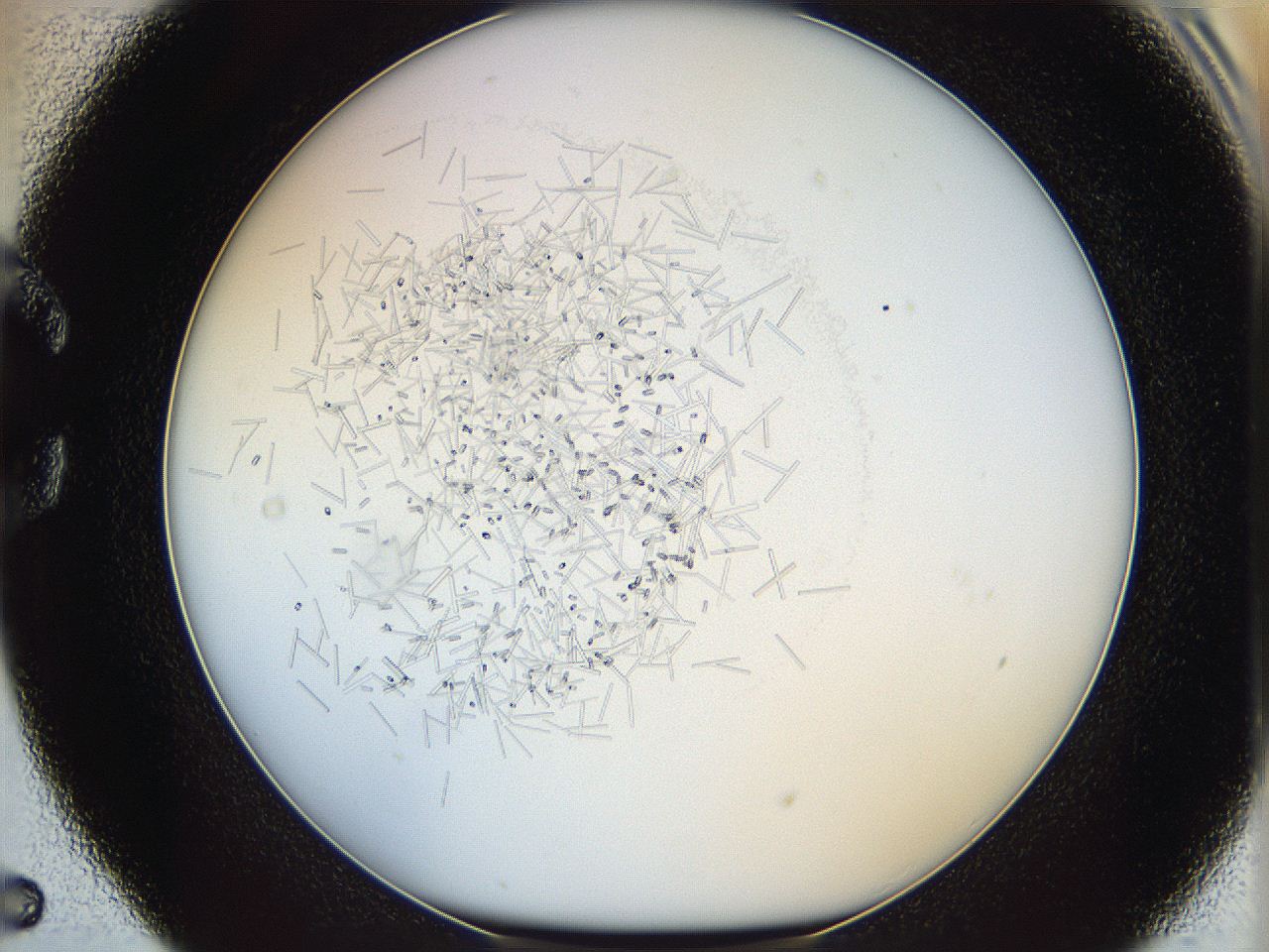 05y3_C5_ImagerDefaults_8.jpg