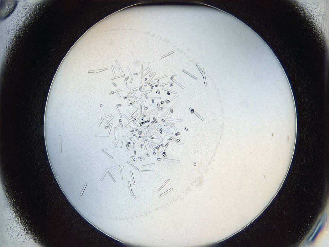 05y3_C6_ImagerDefaults_7.jpg