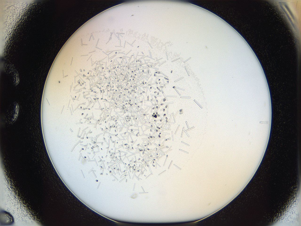 05y3_C6_ImagerDefaults_8.jpg