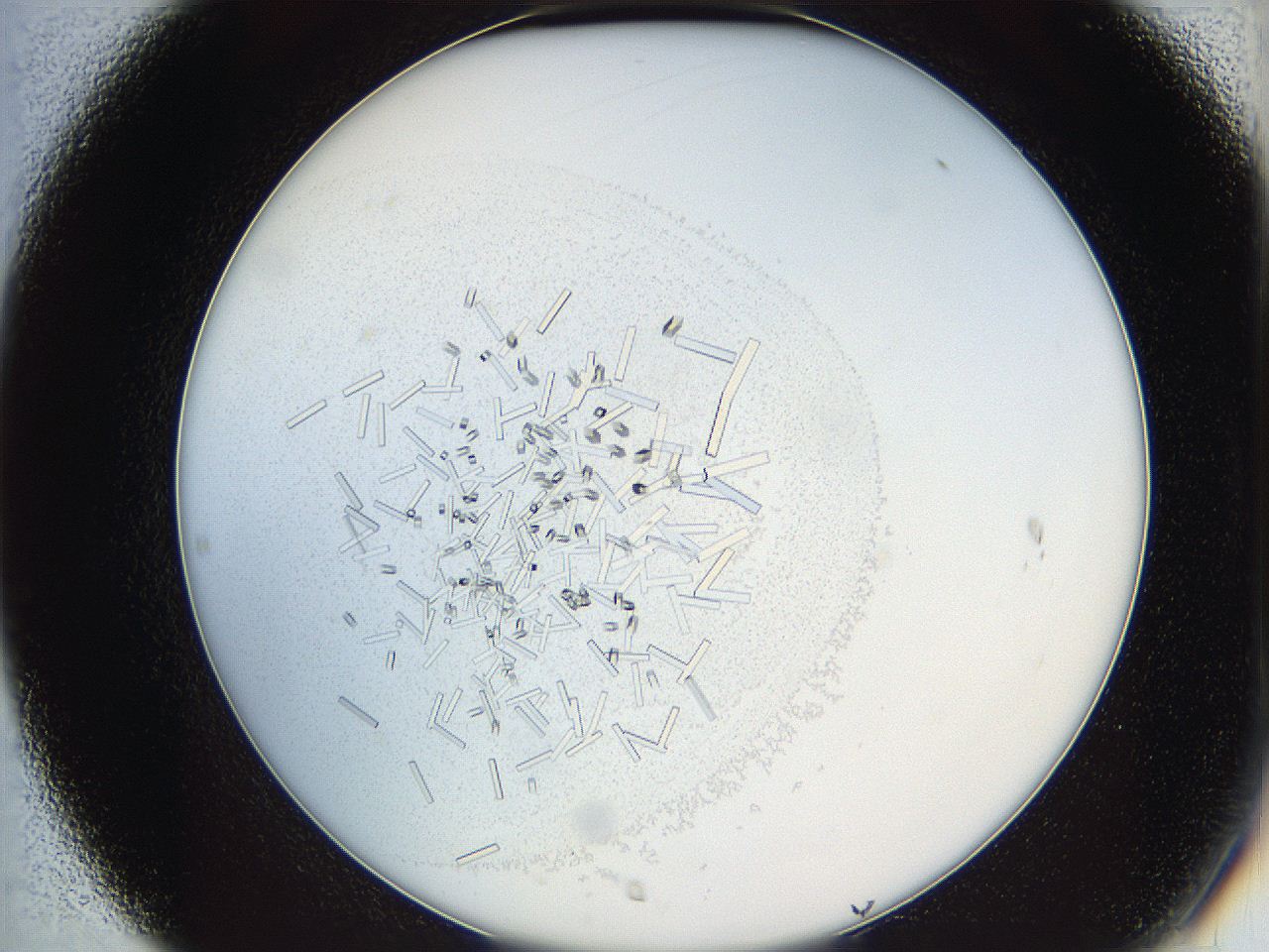 05y3_C7_ImagerDefaults_8.jpg
