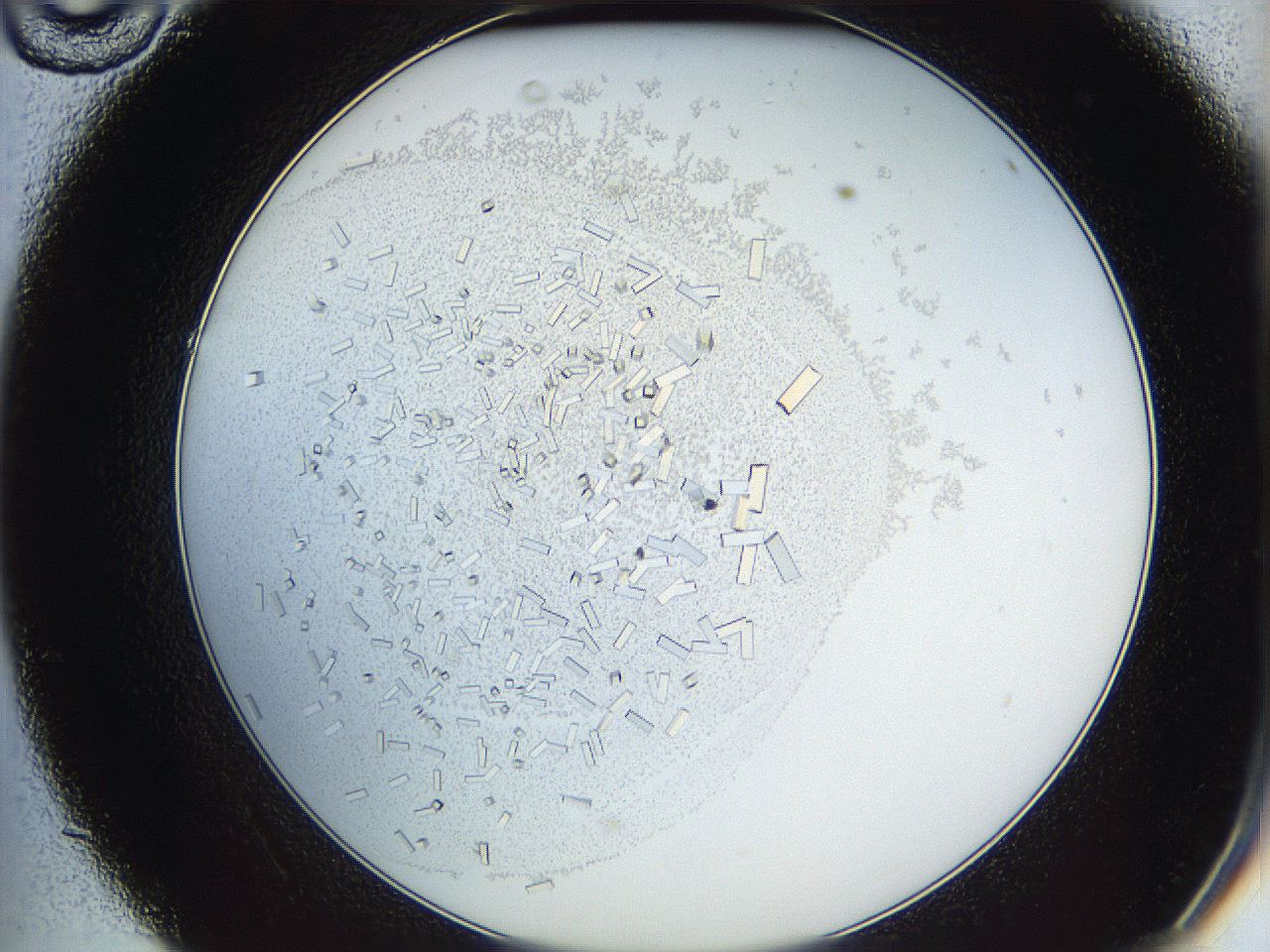 05y3_C10_ImagerDefaults_9.jpg