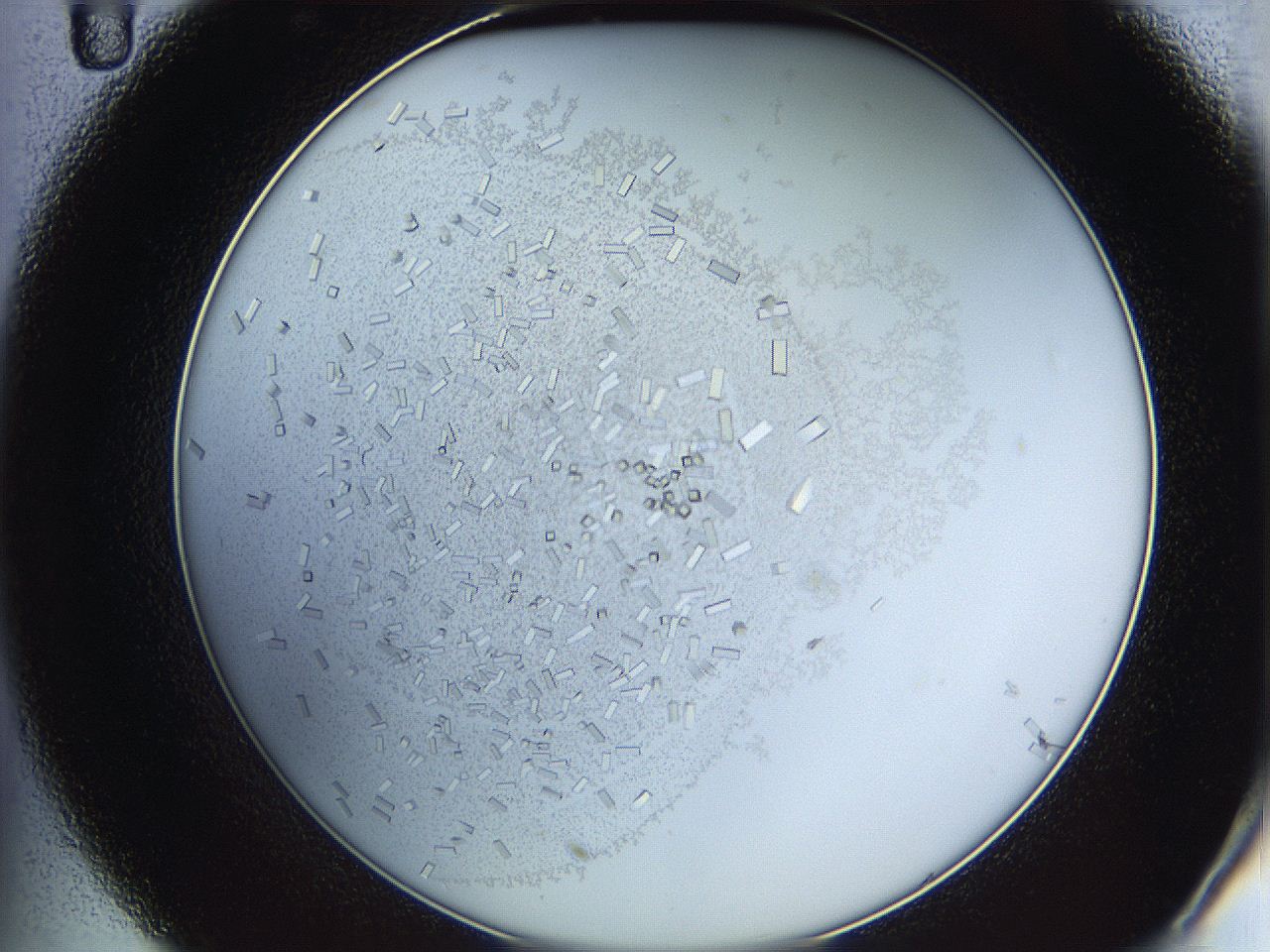 05y3_C11_ImagerDefaults_9.jpg