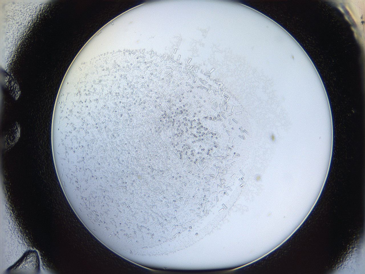 05y3_C11_ImagerDefaults_8.jpg