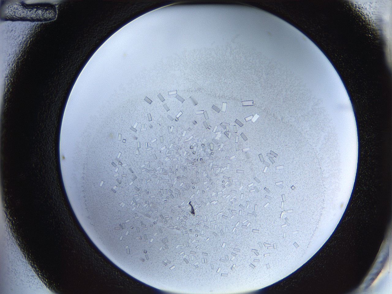 05y3_C12_ImagerDefaults_9.jpg