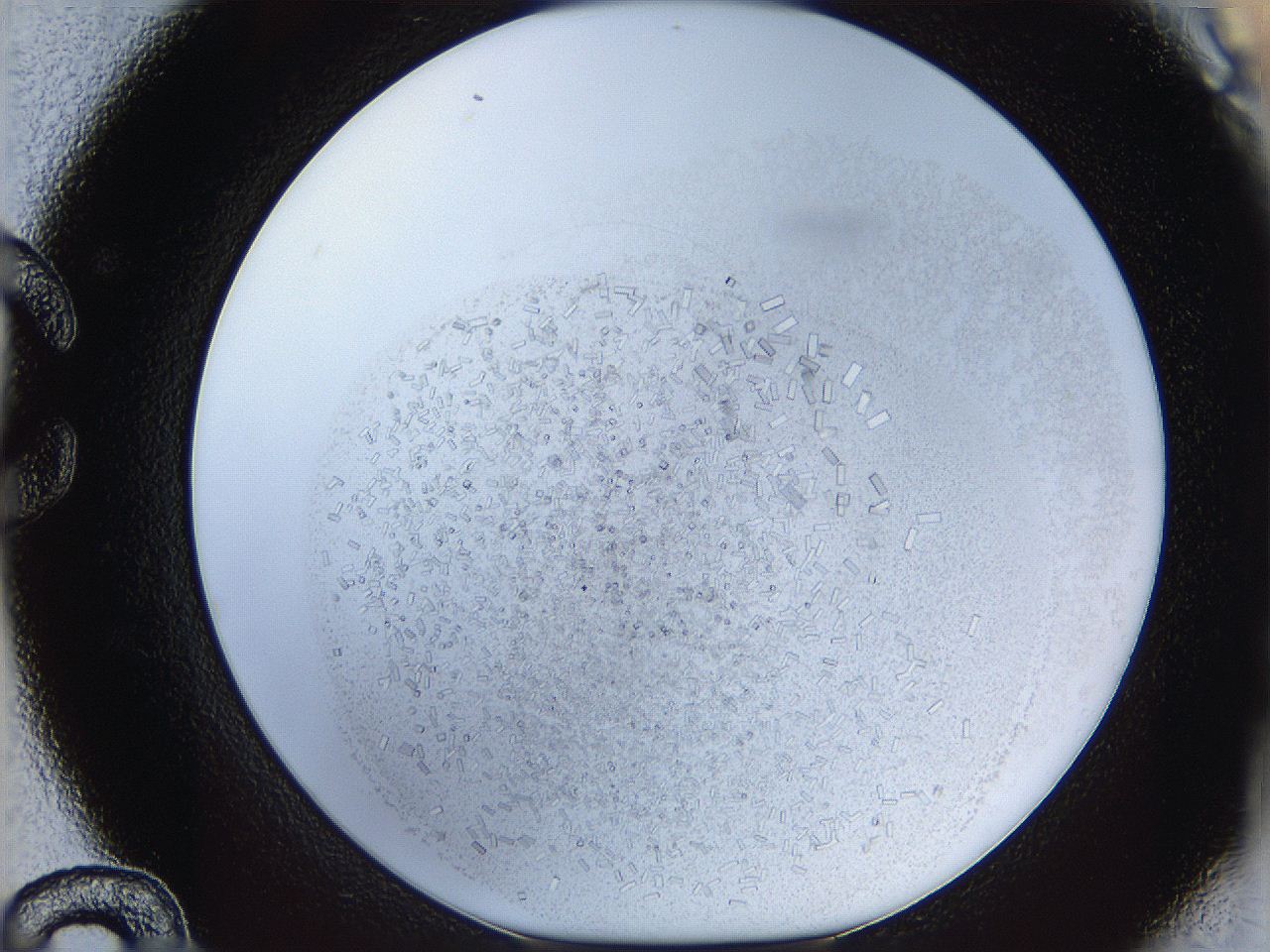 05y3_C12_ImagerDefaults_6.jpg
