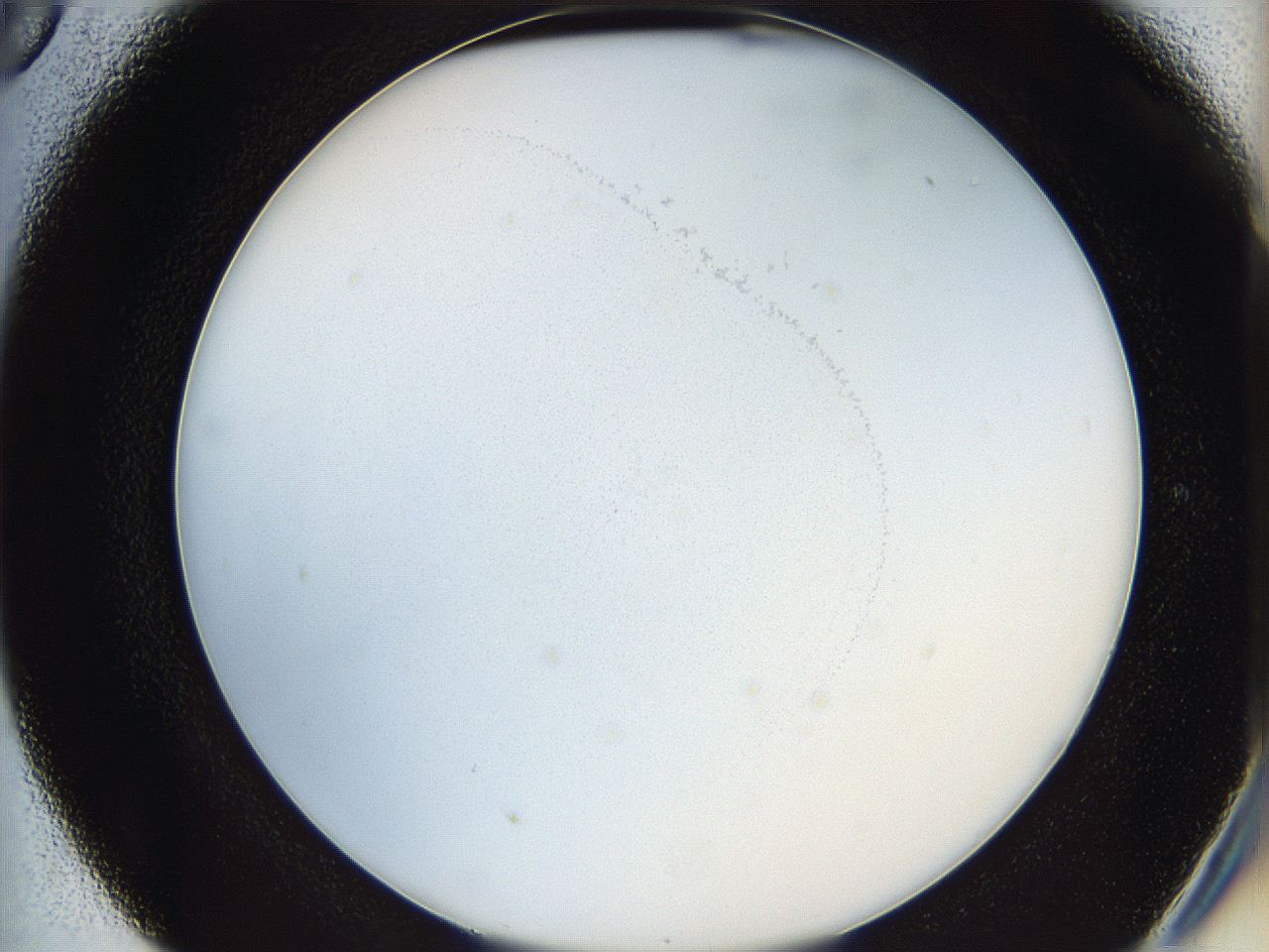 05y3_D5_ImagerDefaults_2.jpg