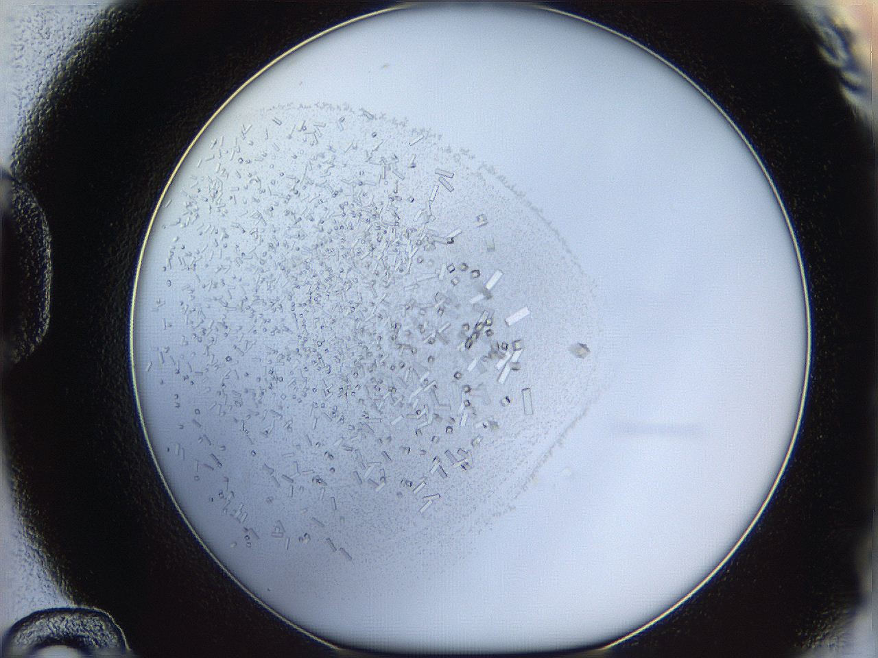 05y3_D12_ImagerDefaults_8.jpg