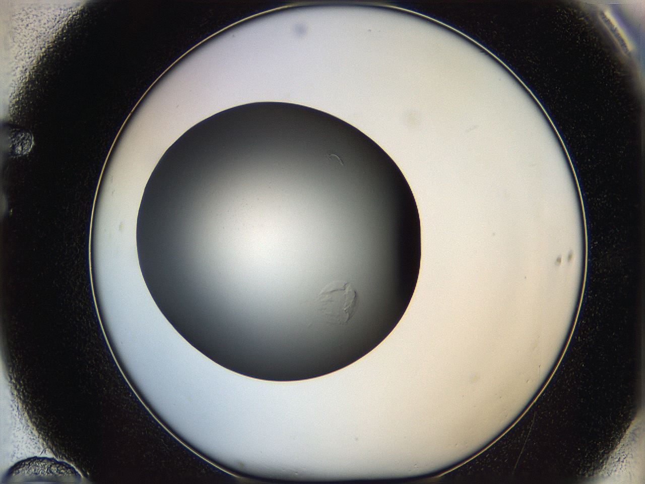 05y3_F10_ImagerDefaults_0.jpg