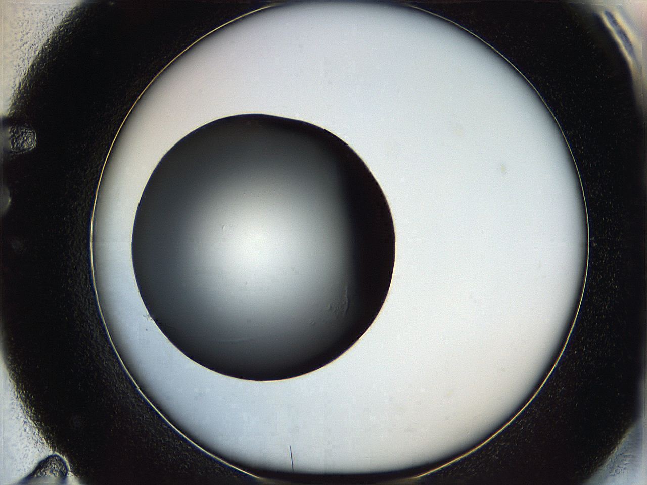 05y3_F11_ImagerDefaults_0.jpg