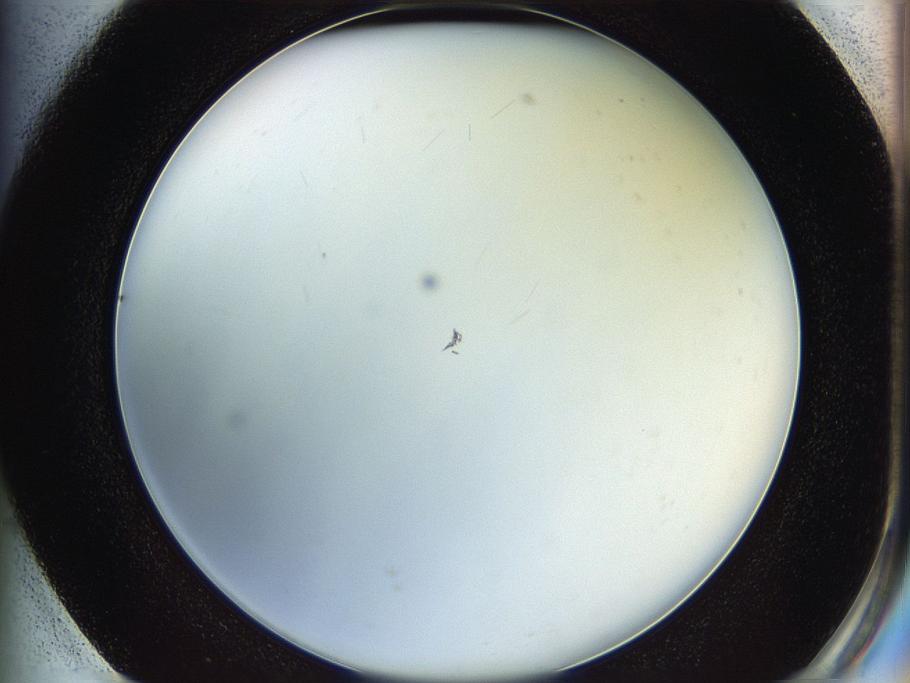 05y3_G1_ImagerDefaults_0.jpg