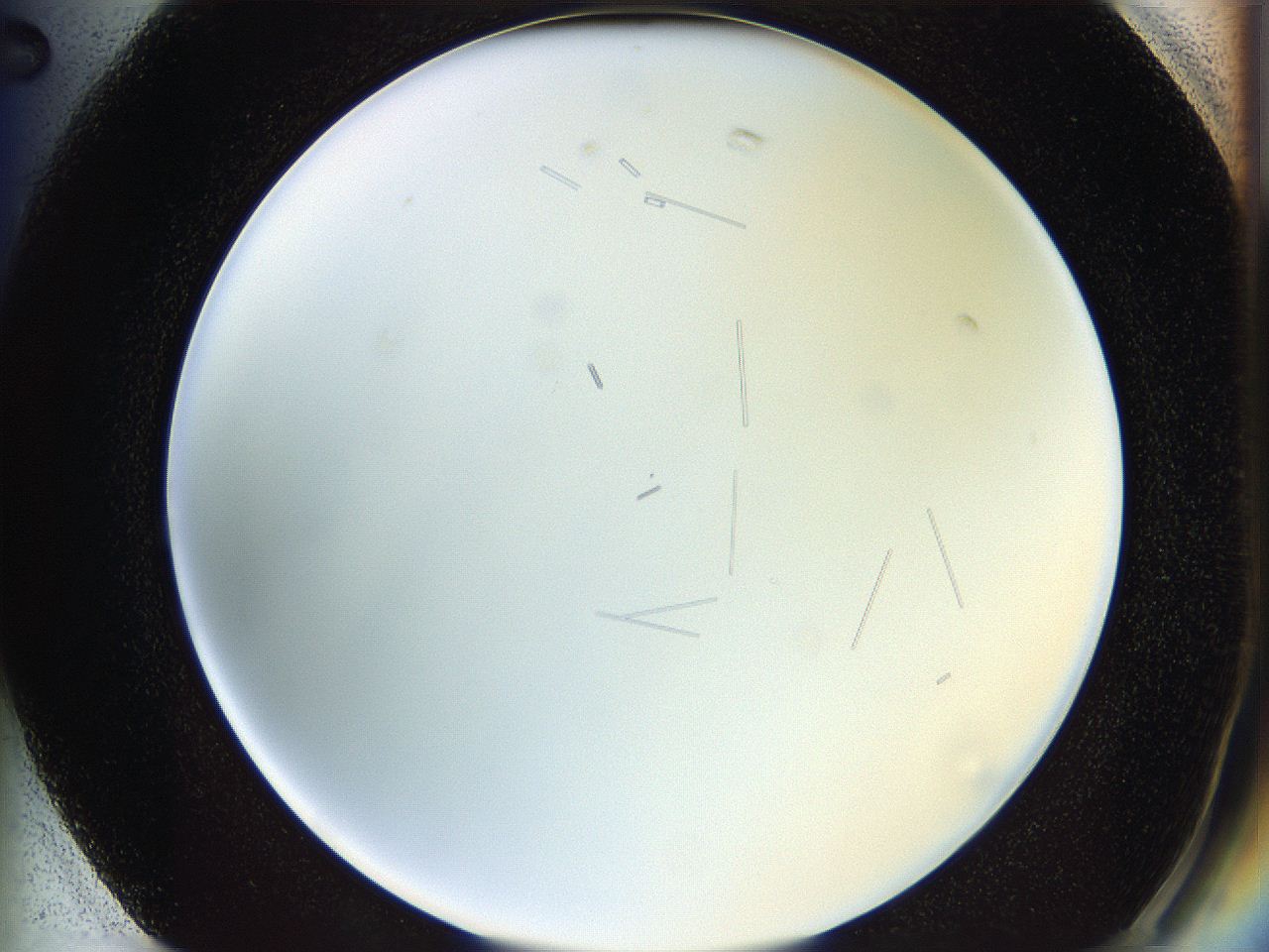 05y3_G2_ImagerDefaults_0.jpg