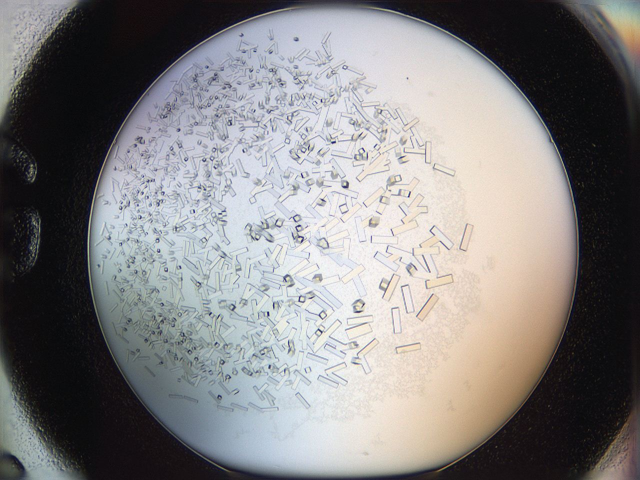 05y3_G6_ImagerDefaults_9.jpg