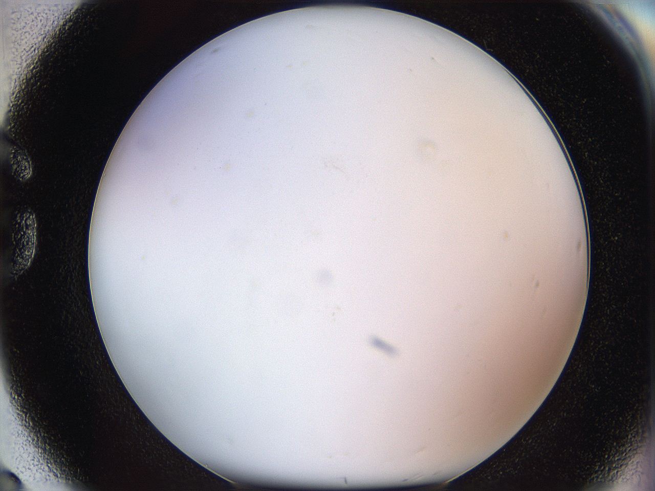 05y3_G8_ImagerDefaults_0.jpg