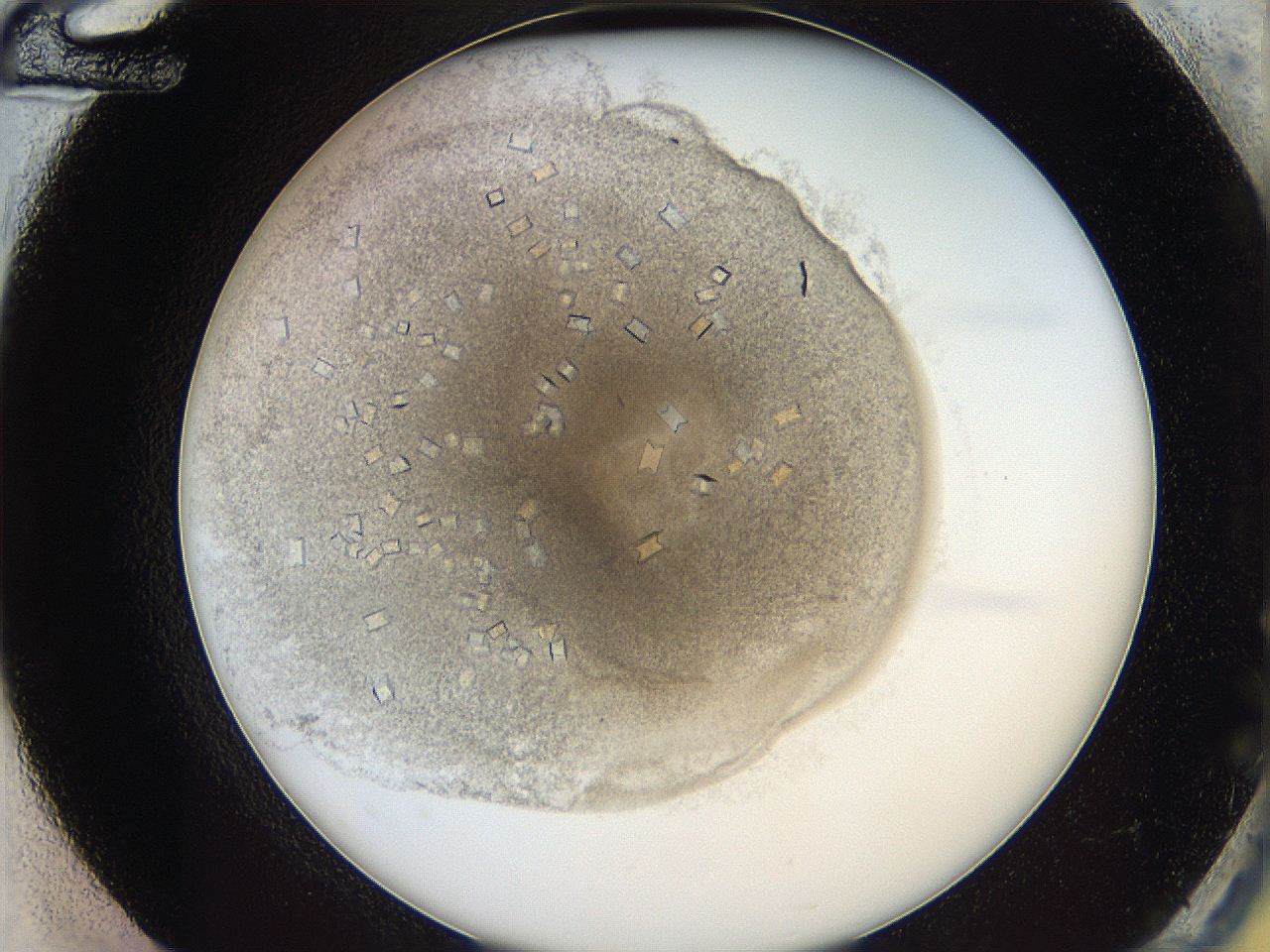 05y3_G12_ImagerDefaults_8.jpg