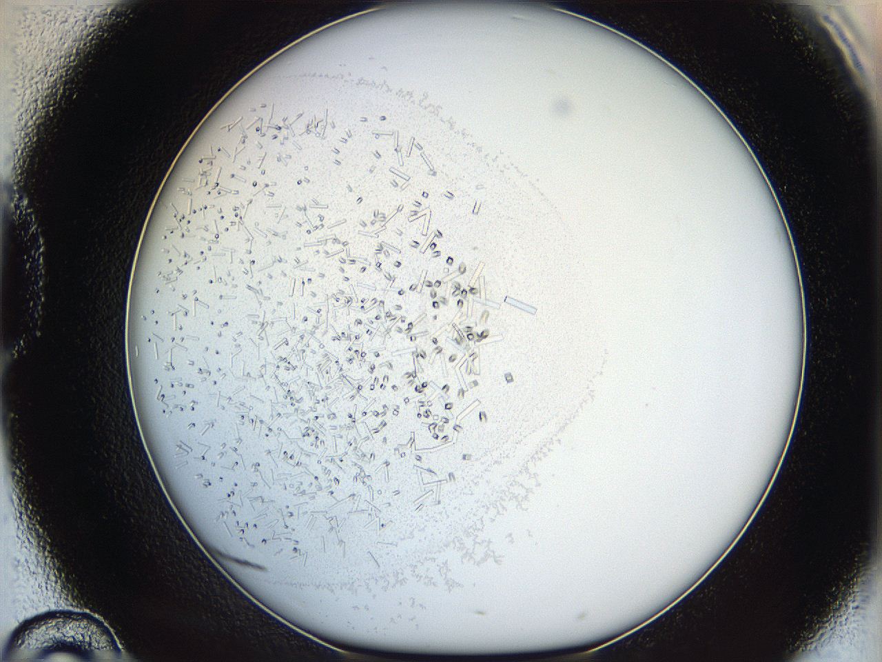 05y3_D10_ImagerDefaults_8.jpg