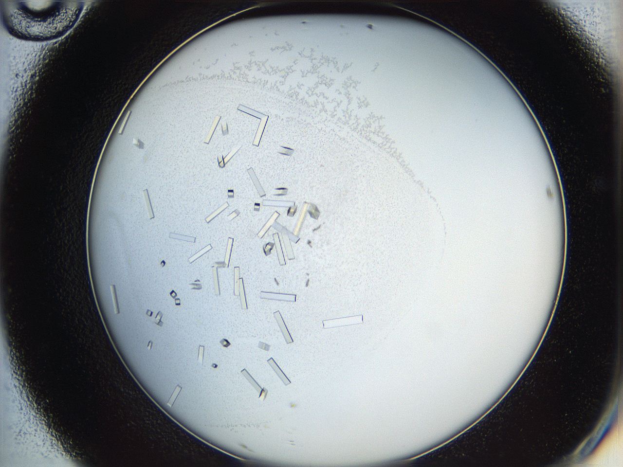 05y3_D10_ImagerDefaults_7.jpg