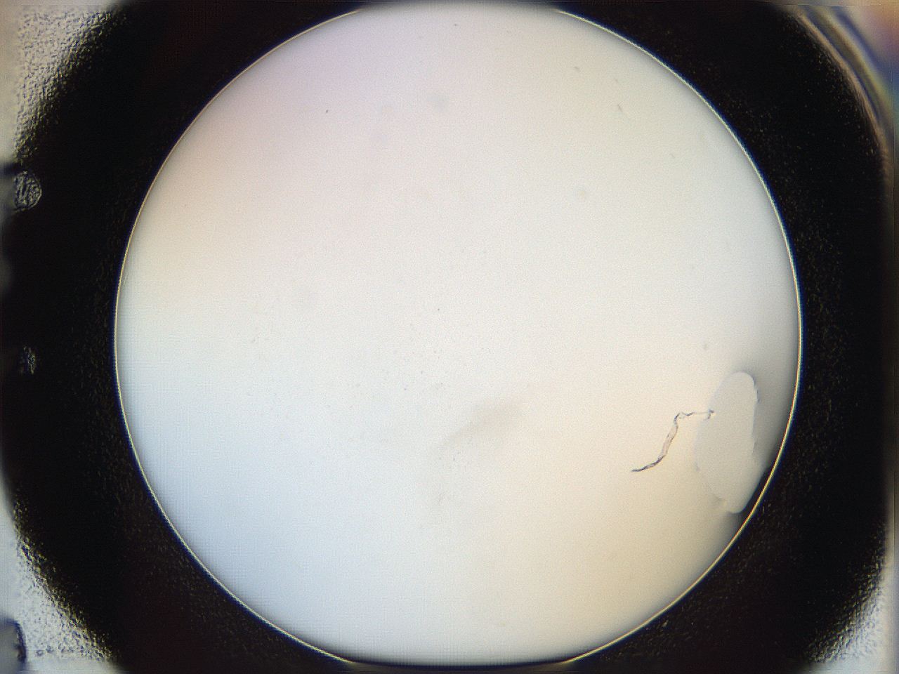 05y3_E4_ImagerDefaults_0.jpg