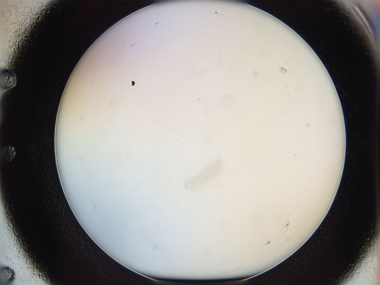 05y3_E7_ImagerDefaults_0.jpg