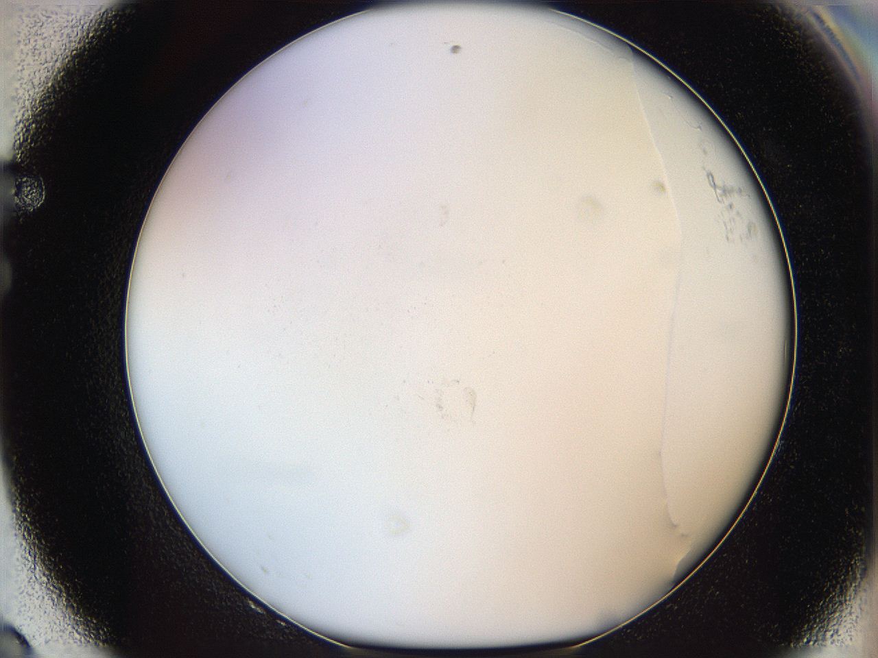 05y3_F8_ImagerDefaults_0.jpg