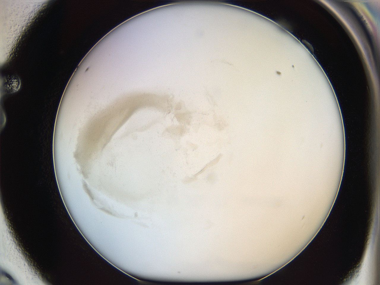 05y3_F9_ImagerDefaults_0.jpg