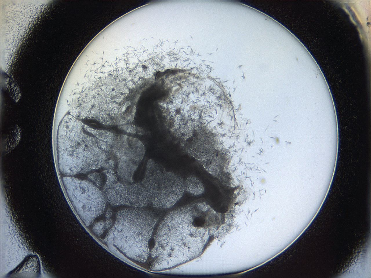 05y8_C11_ImagerDefaults_6.jpg