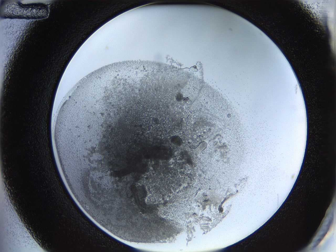 05y8_C12_ImagerDefaults_5.jpg