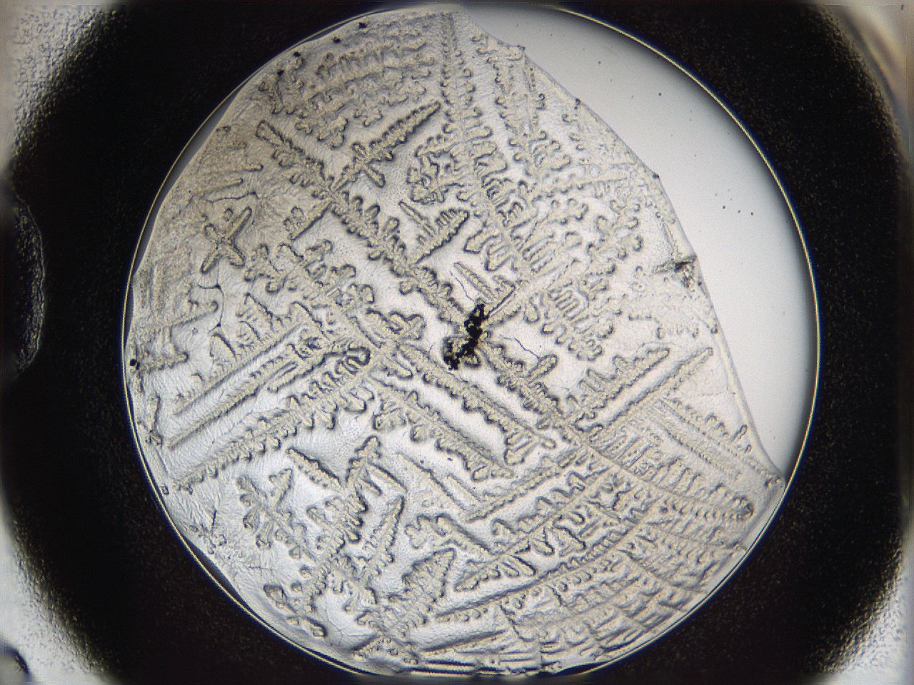 05y8_D2_ImagerDefaults_5.jpg