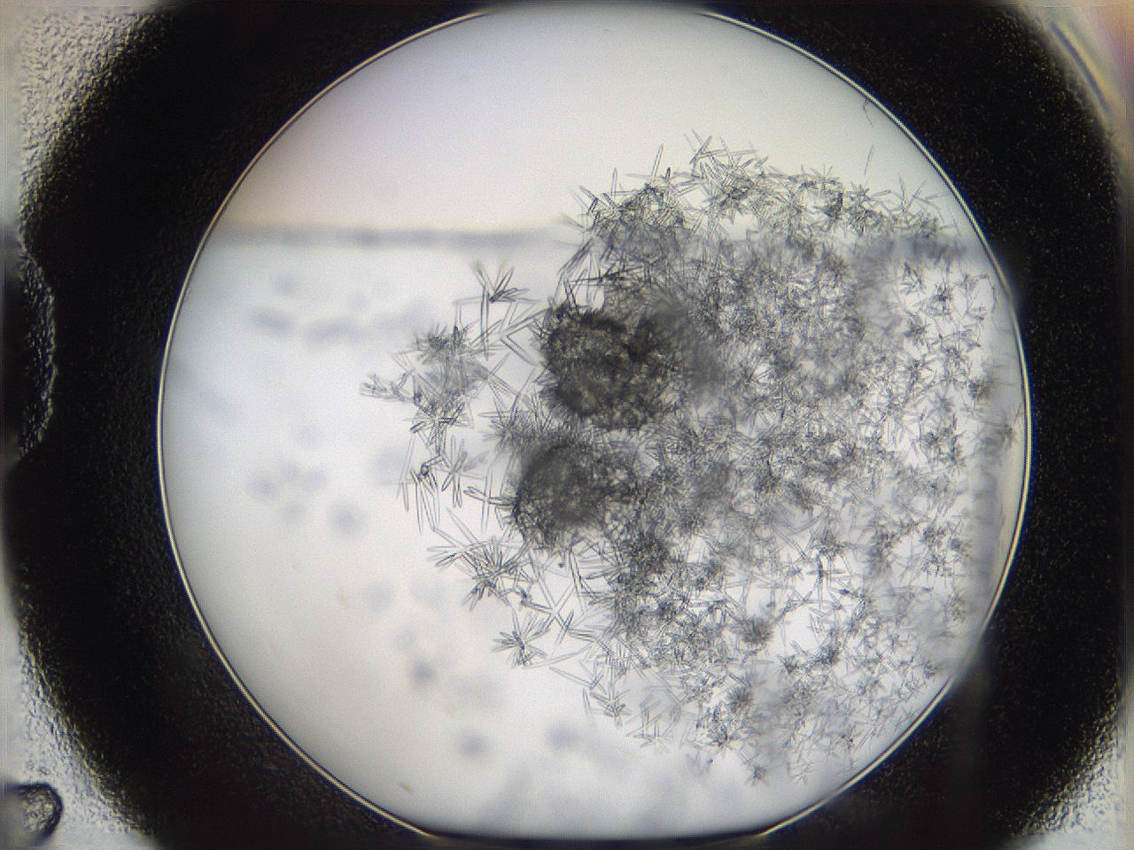 05y8_D7_ImagerDefaults_9.jpg