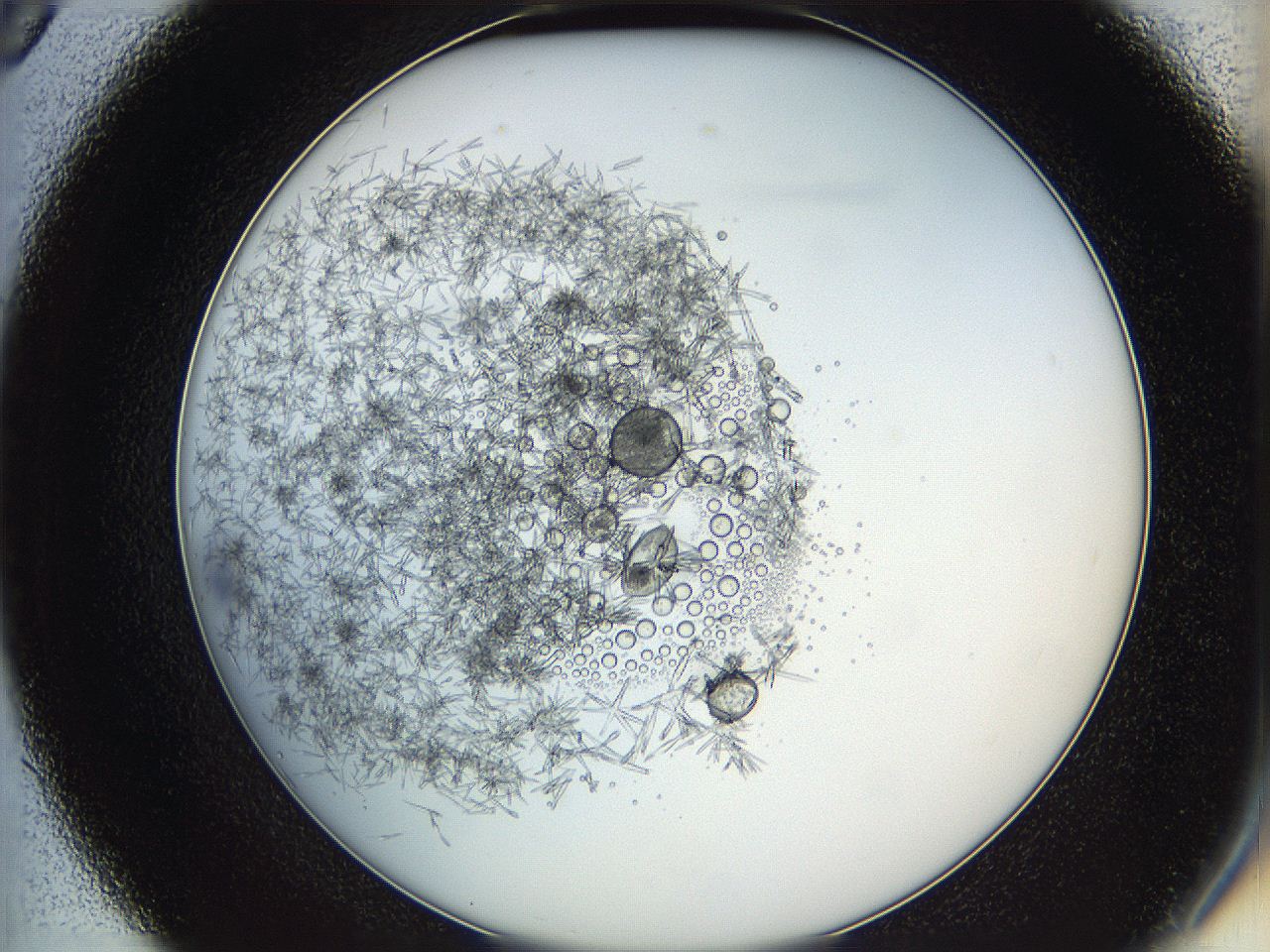 05y8_D9_ImagerDefaults_5.jpg