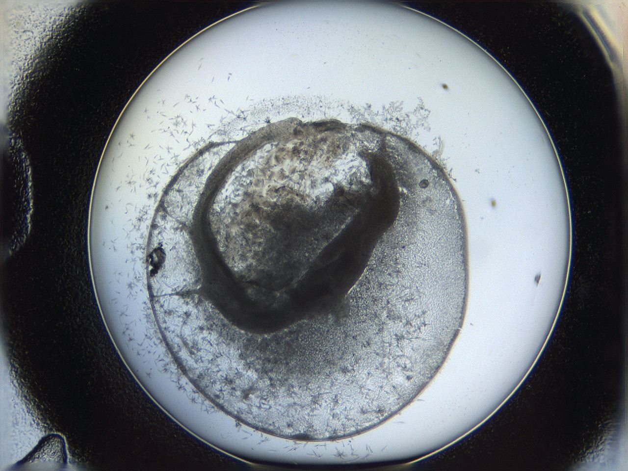 05y8_D11_ImagerDefaults_6.jpg