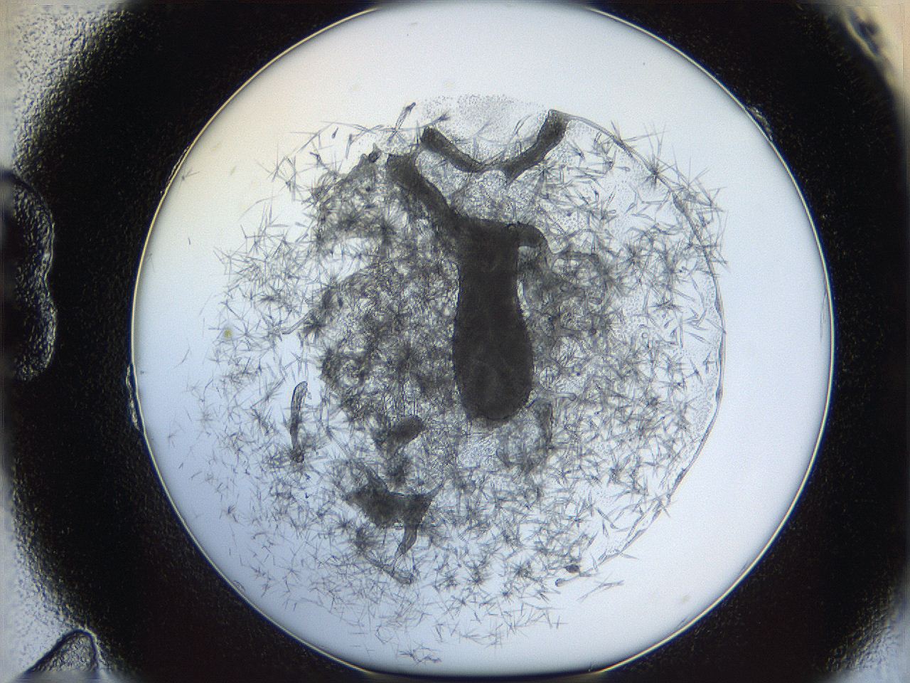 05y8_B11_ImagerDefaults_9.jpg