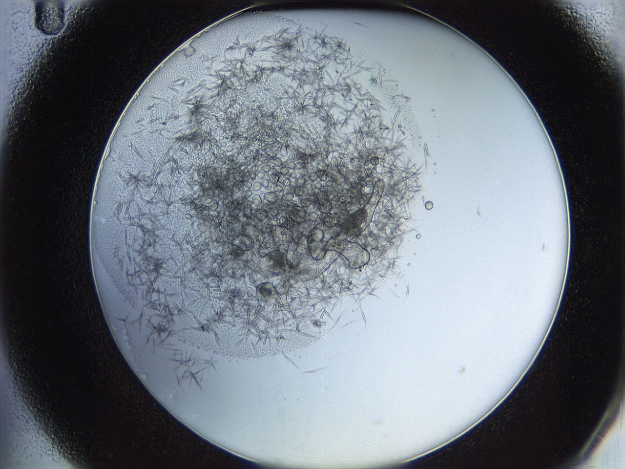 05y8_B11_ImagerDefaults_6.jpg