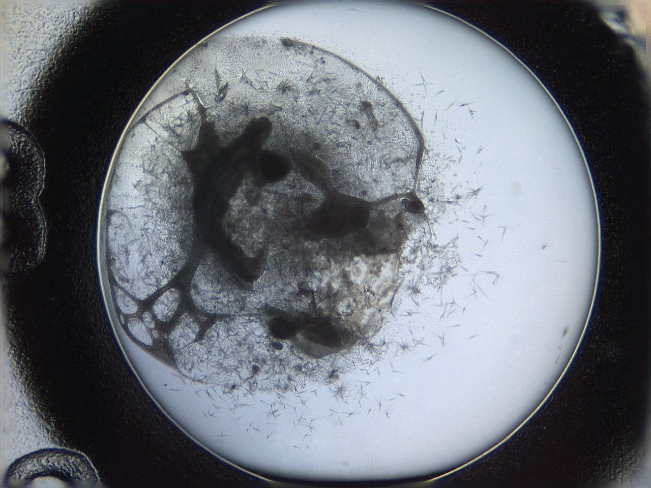 05y8_B12_ImagerDefaults_5.jpg