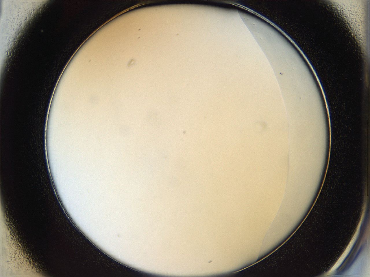 05y8_C1_ImagerDefaults_0.jpg