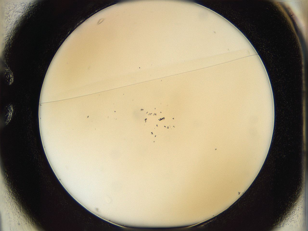 05y8_C1_ImagerDefaults_2.jpg