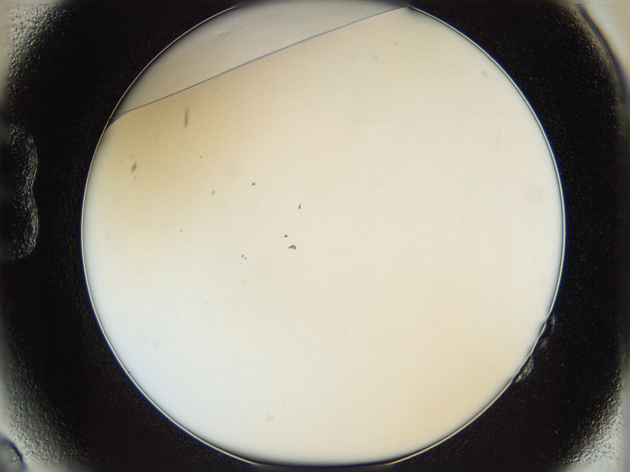05y8_B2_ImagerDefaults_0.jpg