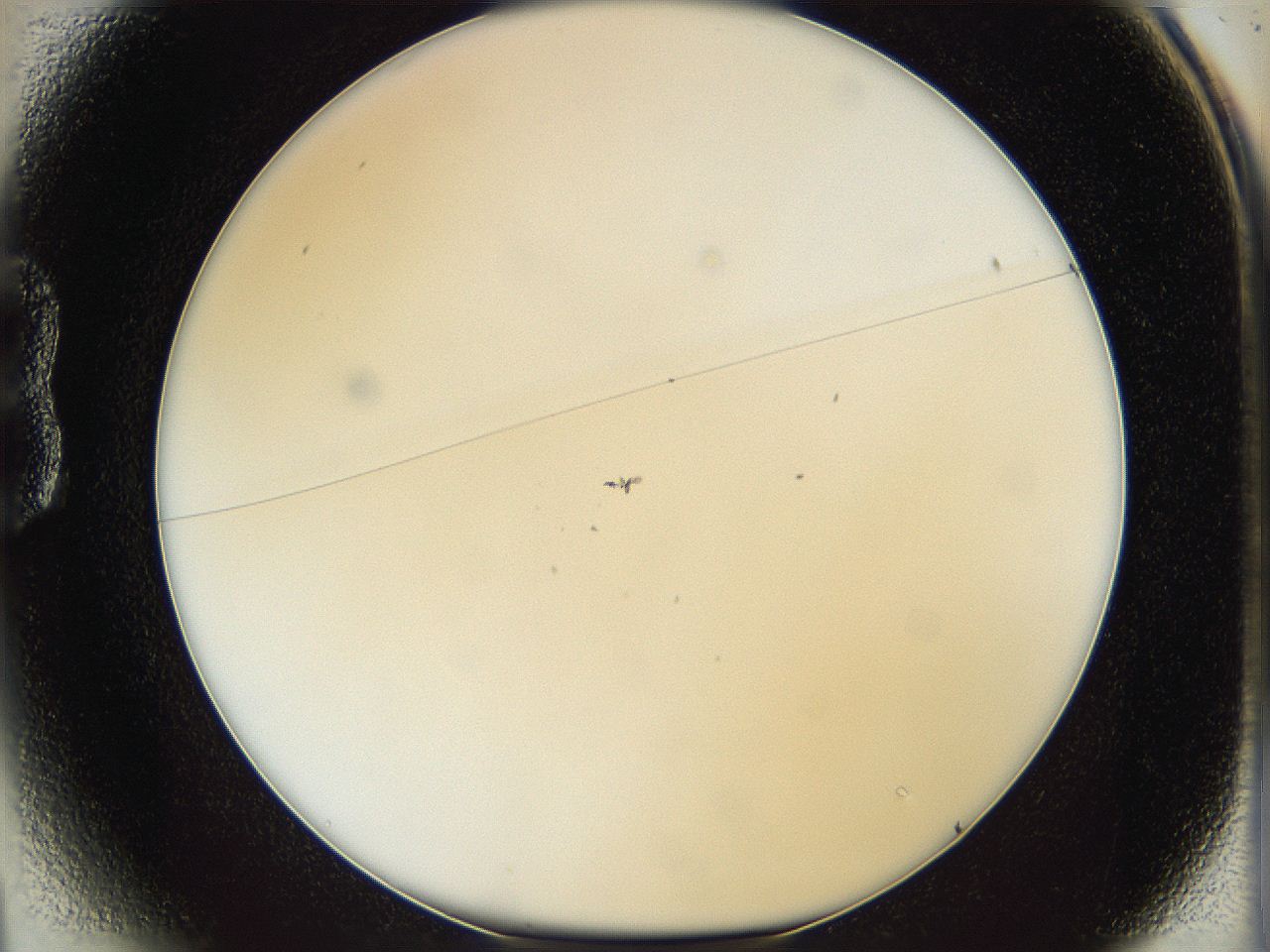 05y8_B1_ImagerDefaults_0.jpg