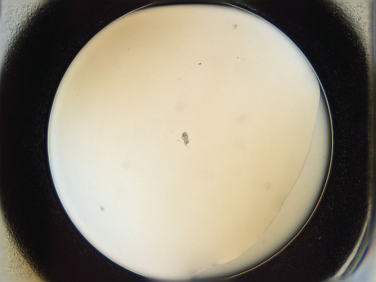 05y8_B1_ImagerDefaults_1.jpg