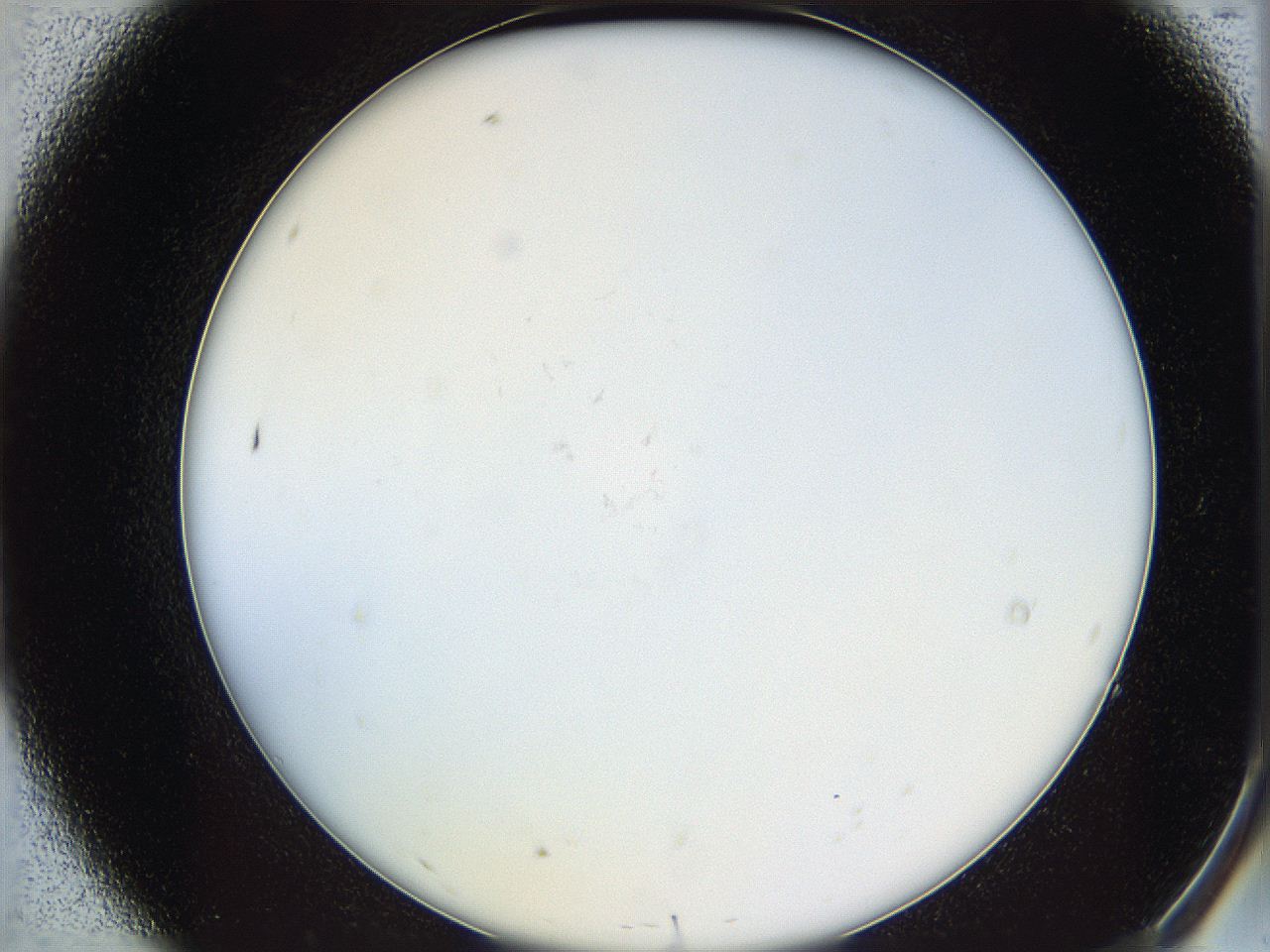 05y8_A7_ImagerDefaults_0.jpg