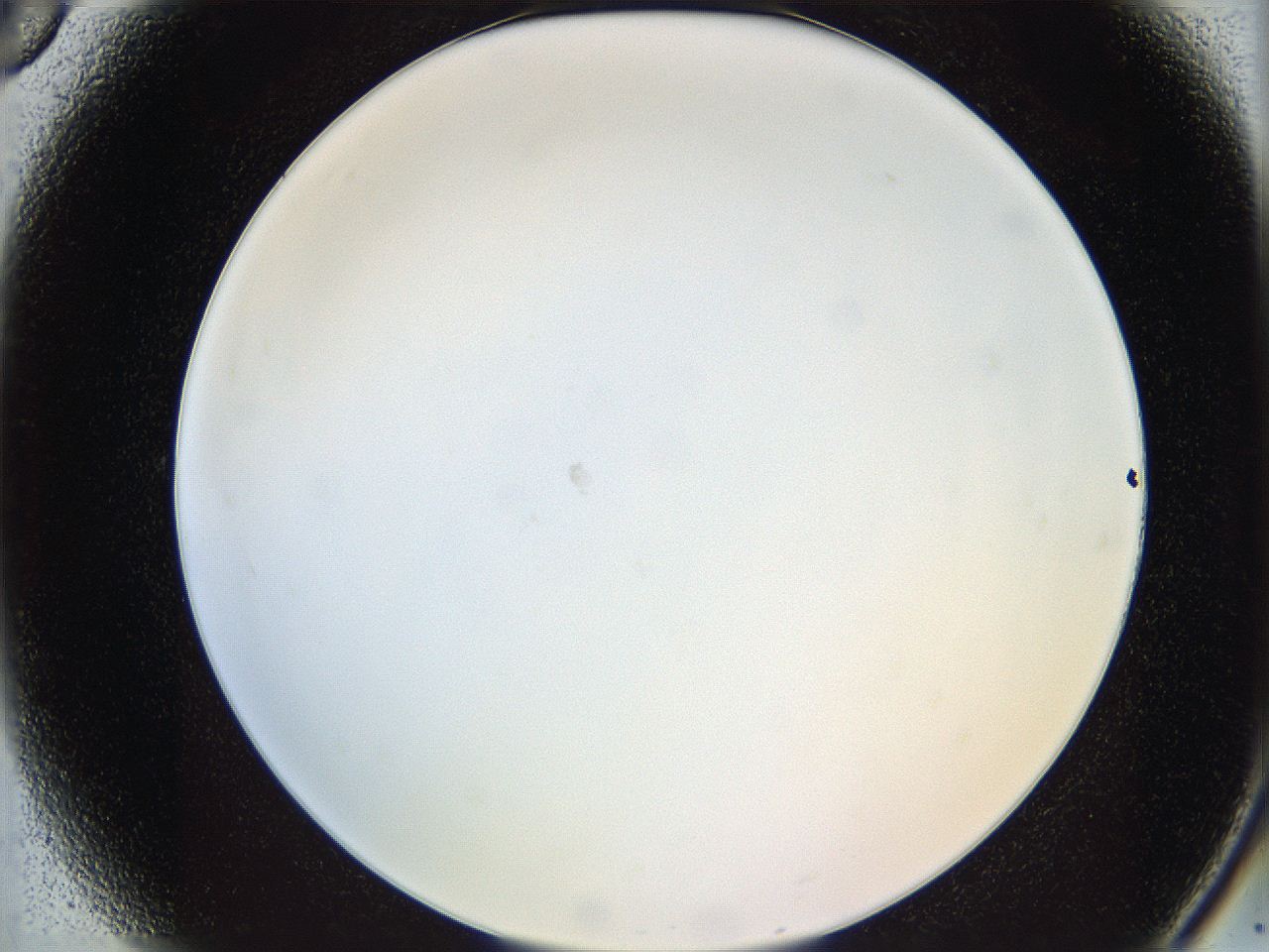 05y8_A6_ImagerDefaults_0.jpg